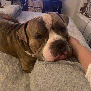 Meet your Posher, Mika